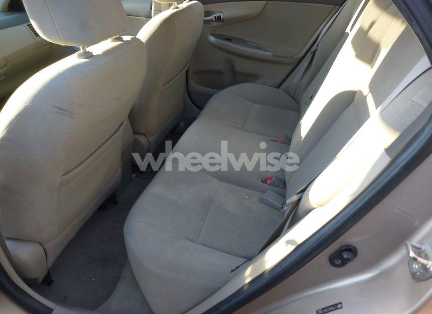 Photo 8 of 2010 Toyota Corolla LE (VIN 2T1BU4EEXAC248627)