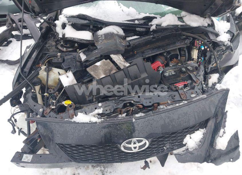 Photo 10 of 2010 Toyota Corolla LE (VIN 2T1BU4EEXAC250717)