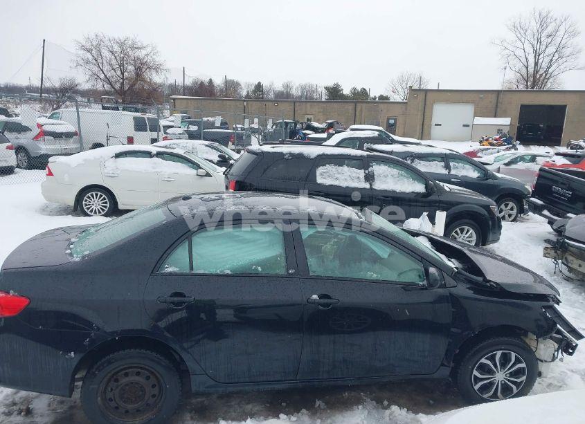 Photo 14 of 2010 Toyota Corolla LE (VIN 2T1BU4EEXAC250717)