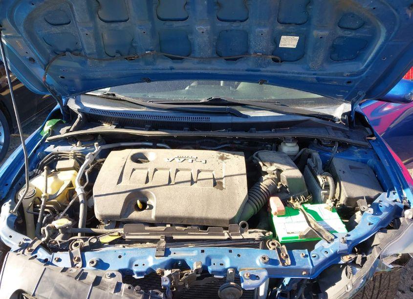 Photo 10 of 2010 Toyota Corolla S (VIN 2T1BU4EEXAC253195)