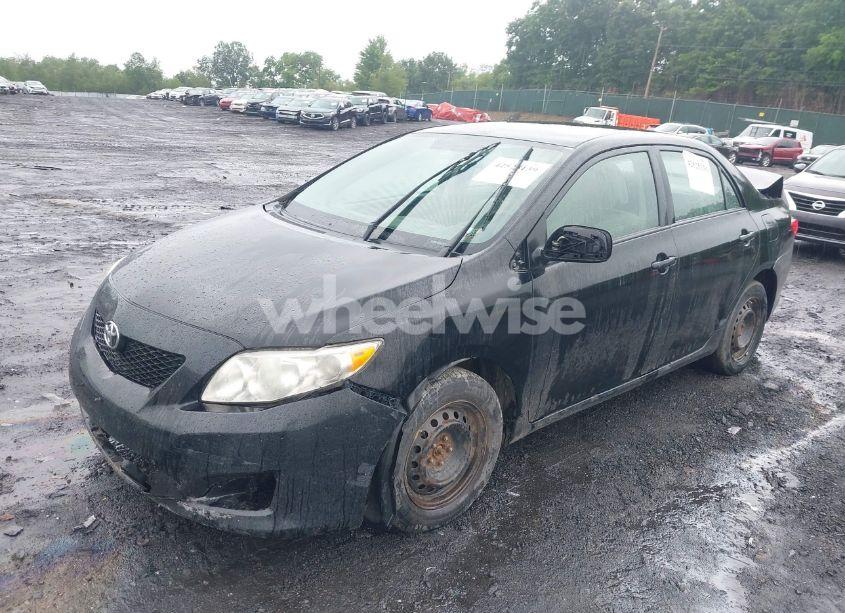 Photo 2 of 2010 Toyota Corolla (VIN 2T1BU4EEXAC265430)