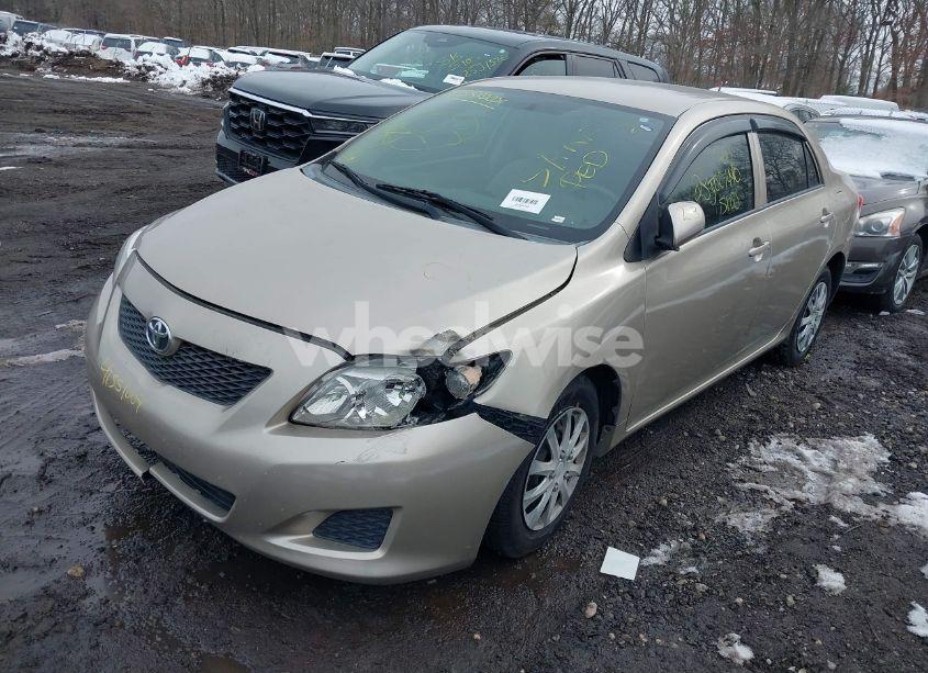 Photo 2 of 2010 Toyota Corolla LE (VIN 2T1BU4EEXAC275486)