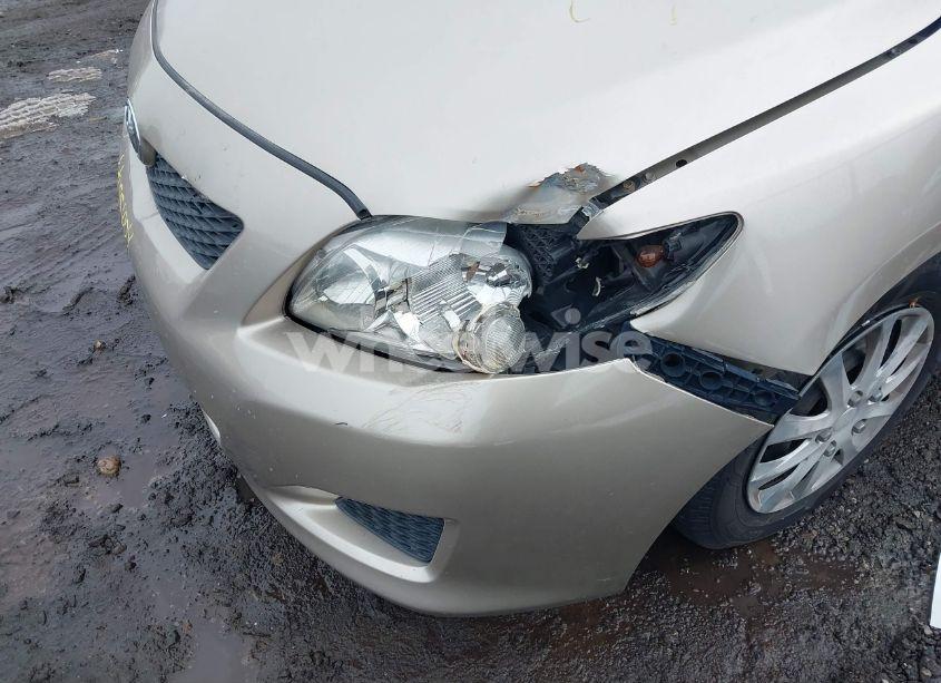 Photo 6 of 2010 Toyota Corolla LE (VIN 2T1BU4EEXAC275486)