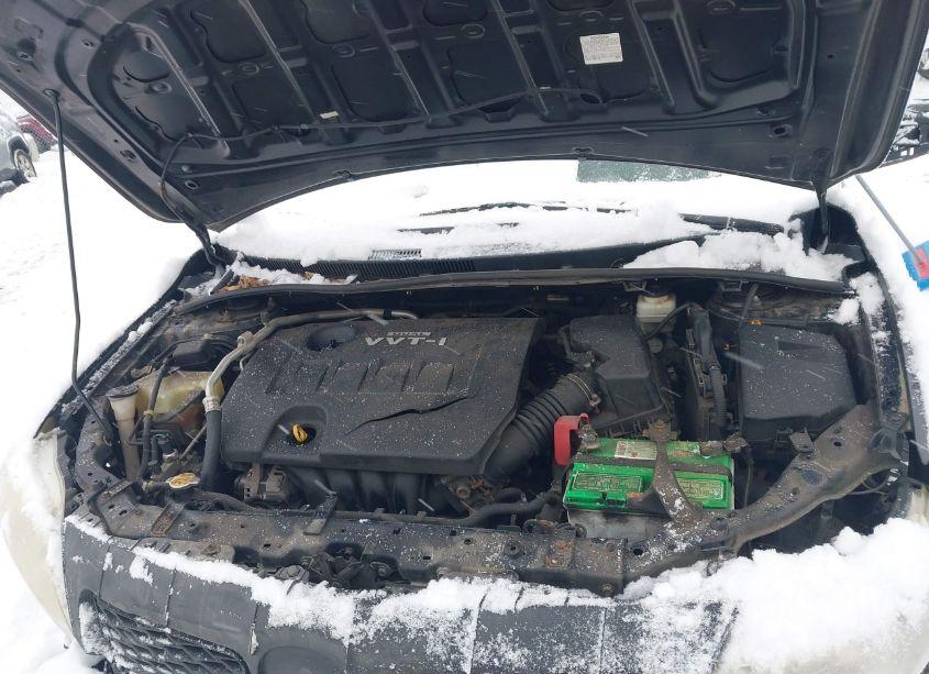 Photo 10 of 2010 Toyota Corolla LE (VIN 2T1BU4EEXAC304131)