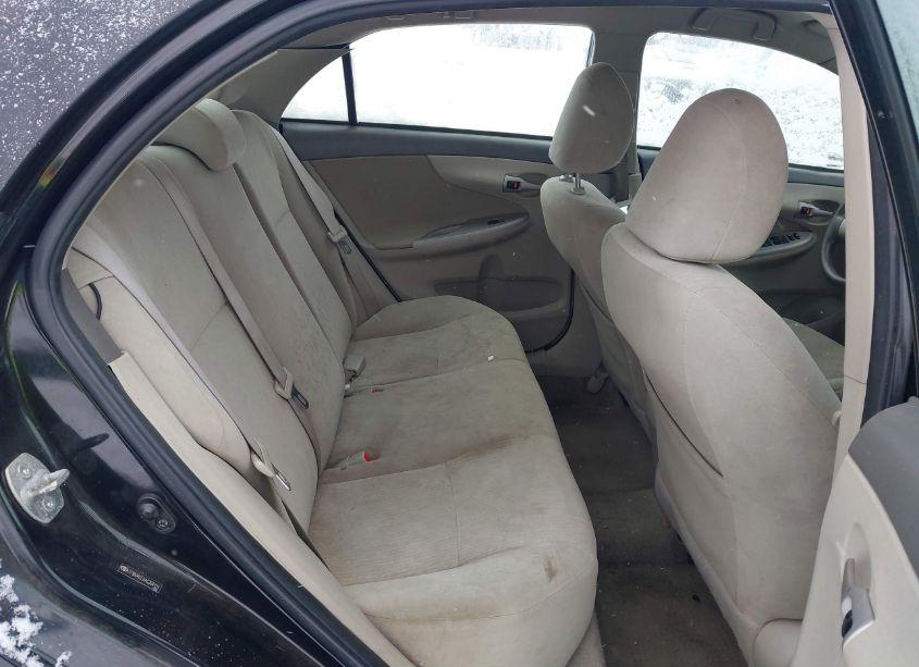 Photo 8 of 2010 Toyota Corolla LE (VIN 2T1BU4EEXAC304131)