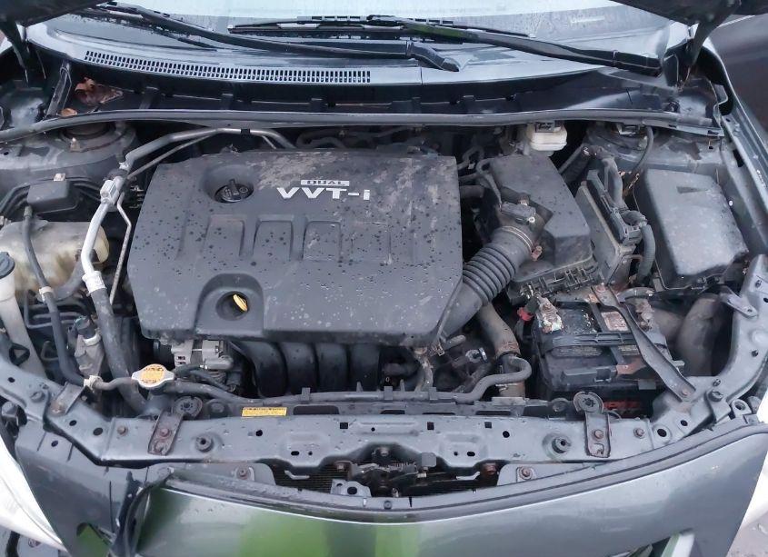 Photo 10 of 2010 Toyota Corolla LE (VIN 2T1BU4EEXAC317624)