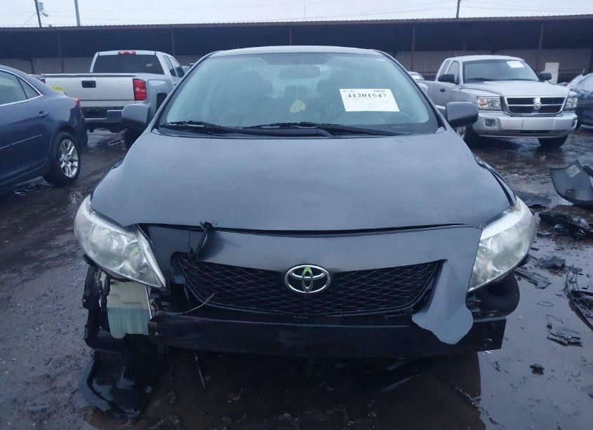 Photo 12 of 2010 Toyota Corolla LE (VIN 2T1BU4EEXAC317624)