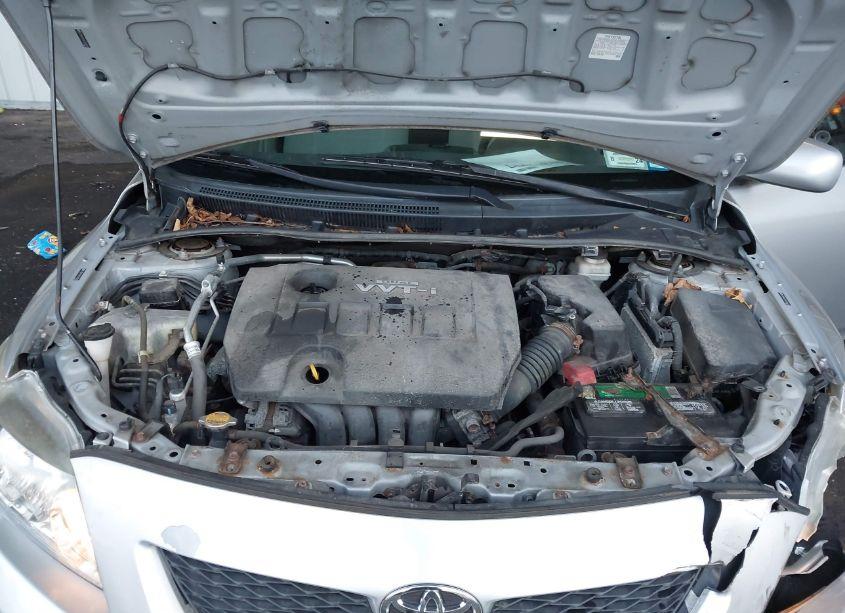 Photo 10 of 2010 Toyota Corolla LE (VIN 2T1BU4EEXAC326629)