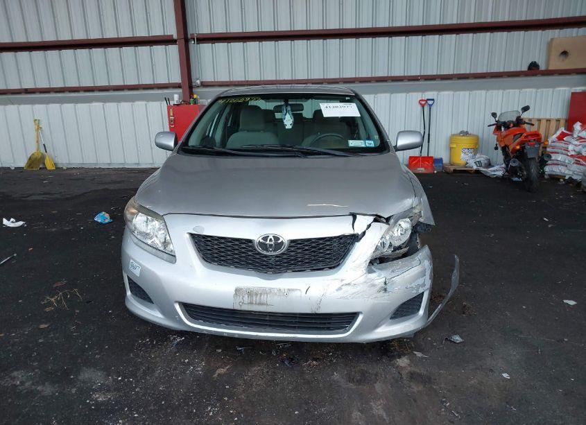 Photo 12 of 2010 Toyota Corolla LE (VIN 2T1BU4EEXAC326629)