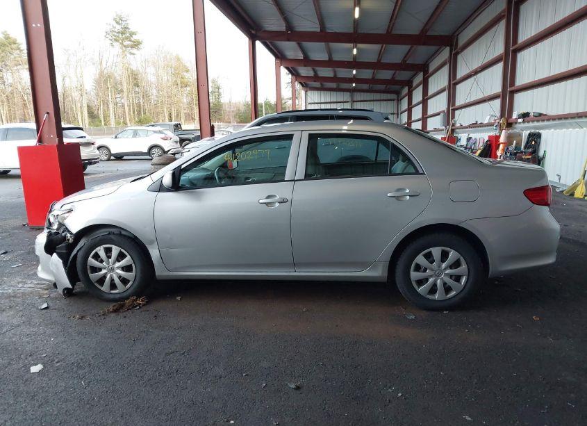Photo 14 of 2010 Toyota Corolla LE (VIN 2T1BU4EEXAC326629)