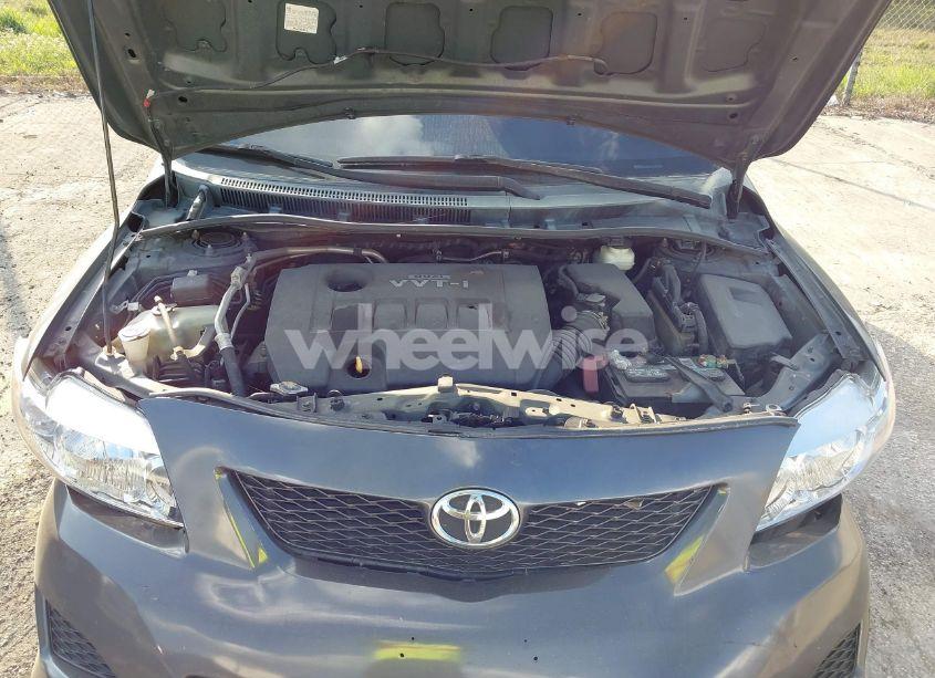 Photo 10 of 2010 Toyota Corolla LE (VIN 2T1BU4EEXAC343981)
