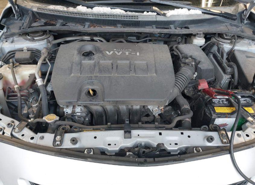 Photo 10 of 2010 Toyota Corolla LE (VIN 2T1BU4EEXAC347948)