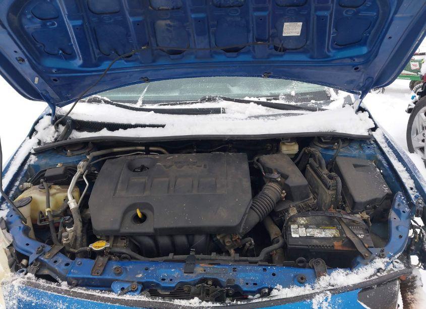 Photo 10 of 2010 Toyota Corolla S (VIN 2T1BU4EEXAC354897)