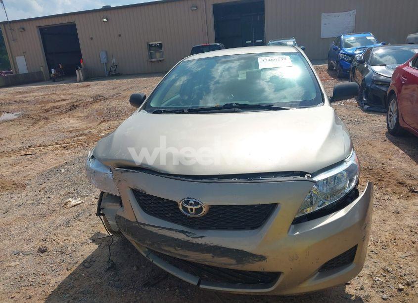 Photo 12 of 2010 Toyota Corolla LE (VIN 2T1BU4EEXAC392338)