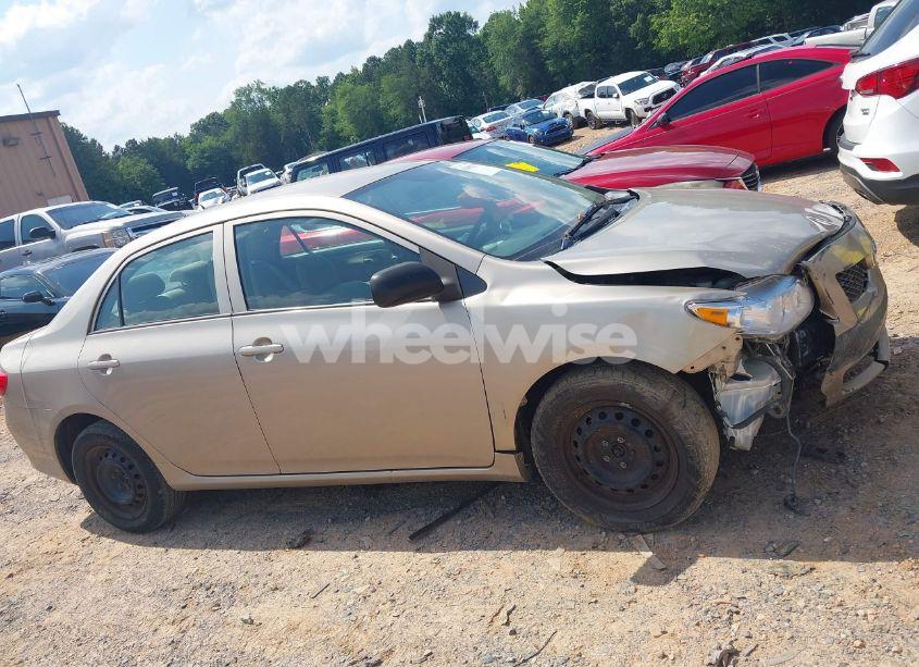 Photo 13 of 2010 Toyota Corolla LE (VIN 2T1BU4EEXAC392338)