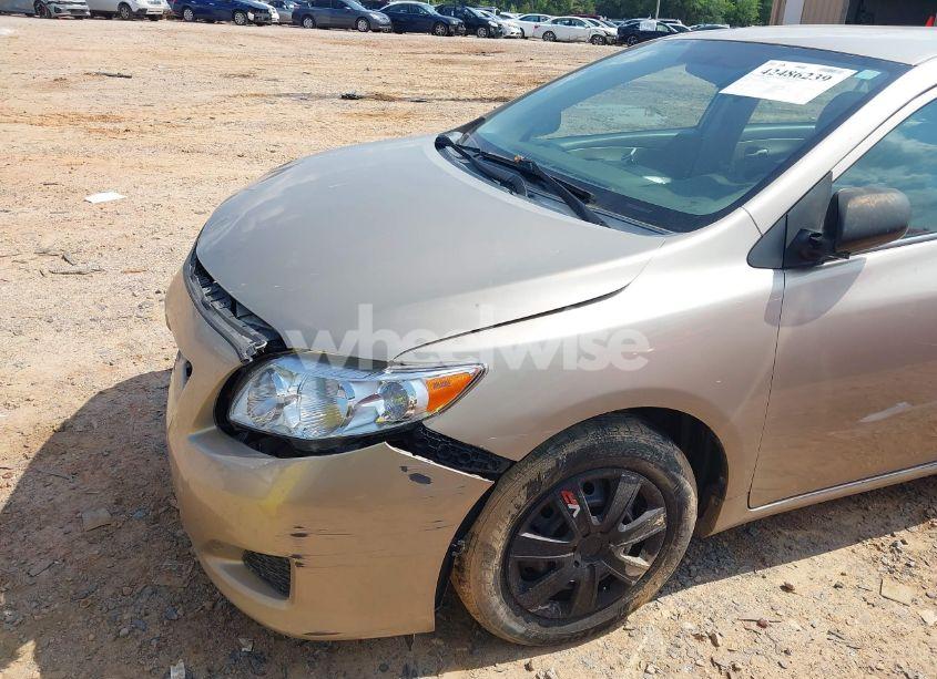 Photo 6 of 2010 Toyota Corolla LE (VIN 2T1BU4EEXAC392338)