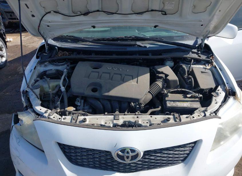 Photo 10 of 2010 Toyota Corolla LE (VIN 2T1BU4EEXAC412605)