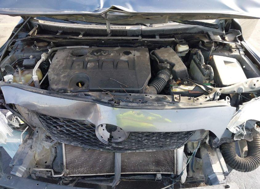 Photo 10 of 2010 Toyota Corolla LE (VIN 2T1BU4EEXAC424981)