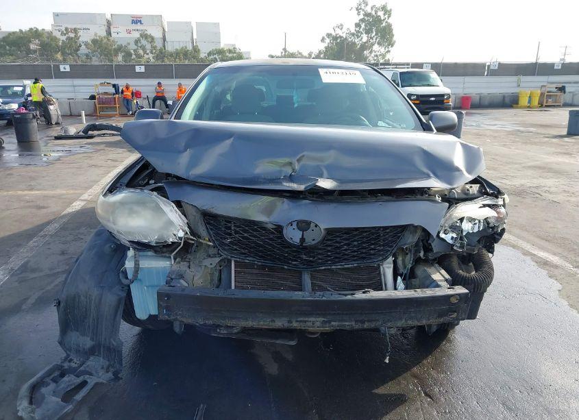 Photo 6 of 2010 Toyota Corolla LE (VIN 2T1BU4EEXAC424981)