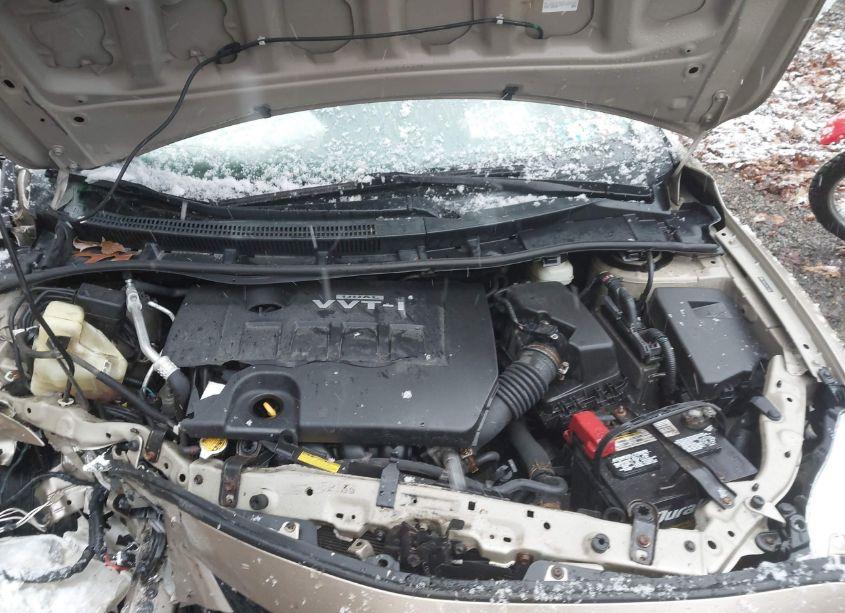 Photo 10 of 2010 Toyota Corolla LE (VIN 2T1BU4EEXAC470665)