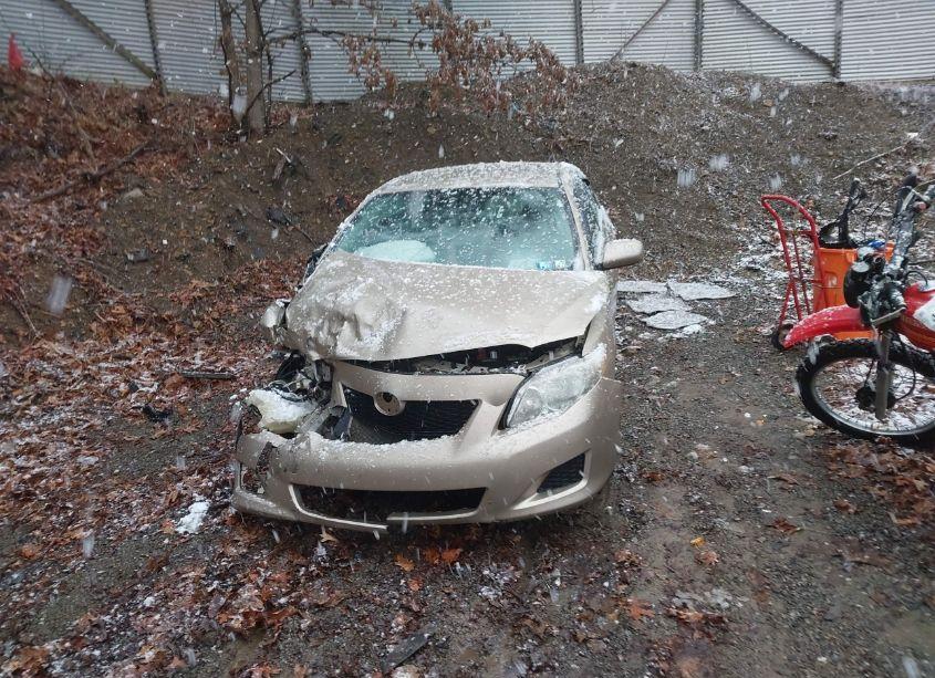 Photo 12 of 2010 Toyota Corolla LE (VIN 2T1BU4EEXAC470665)