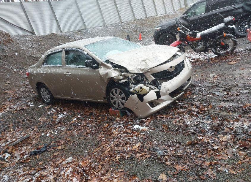 Photo 13 of 2010 Toyota Corolla LE (VIN 2T1BU4EEXAC470665)