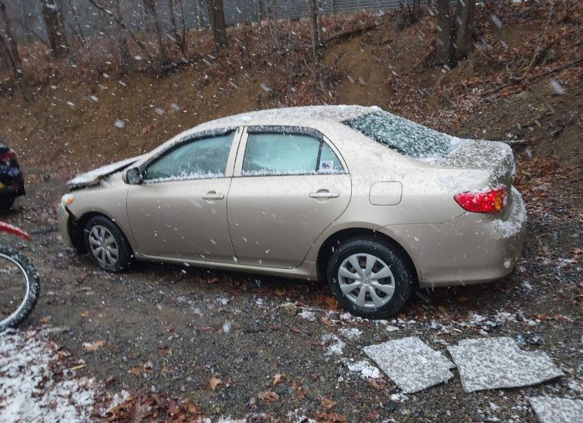 Photo 14 of 2010 Toyota Corolla LE (VIN 2T1BU4EEXAC470665)