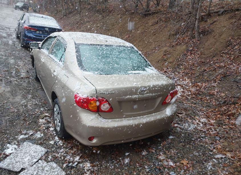 Photo 16 of 2010 Toyota Corolla LE (VIN 2T1BU4EEXAC470665)