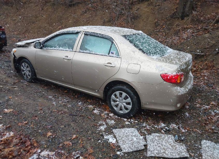 Photo 3 of 2010 Toyota Corolla LE (VIN 2T1BU4EEXAC470665)