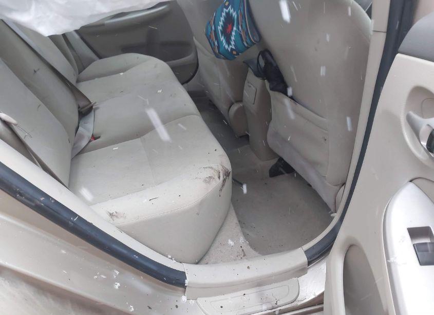 Photo 8 of 2010 Toyota Corolla LE (VIN 2T1BU4EEXAC470665)