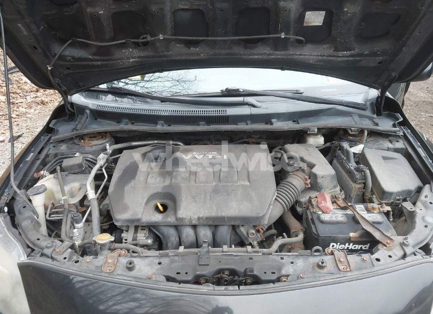 Photo 10 of 2010 Toyota Corolla S (VIN 2T1BU4EEXAC474263)