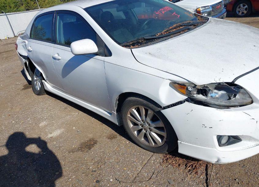 Photo 11 of 2010 Toyota Corolla S (VIN 2T1BU4EEXAC478846)