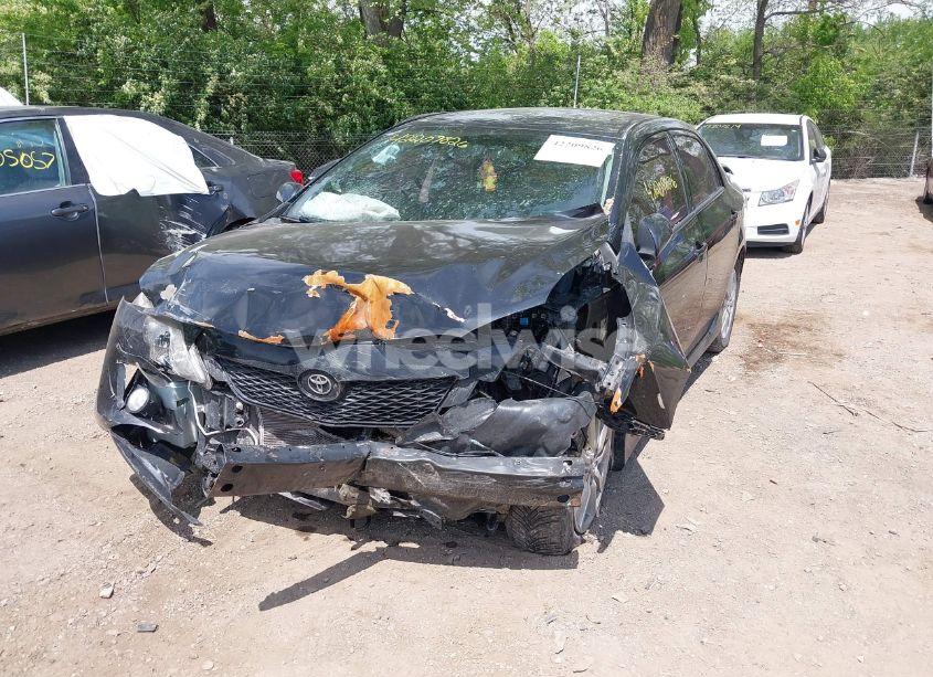 Photo 2 of 2010 Toyota Corolla S (VIN 2T1BU4EEXAC495713)