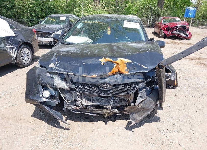 Photo 6 of 2010 Toyota Corolla S (VIN 2T1BU4EEXAC495713)