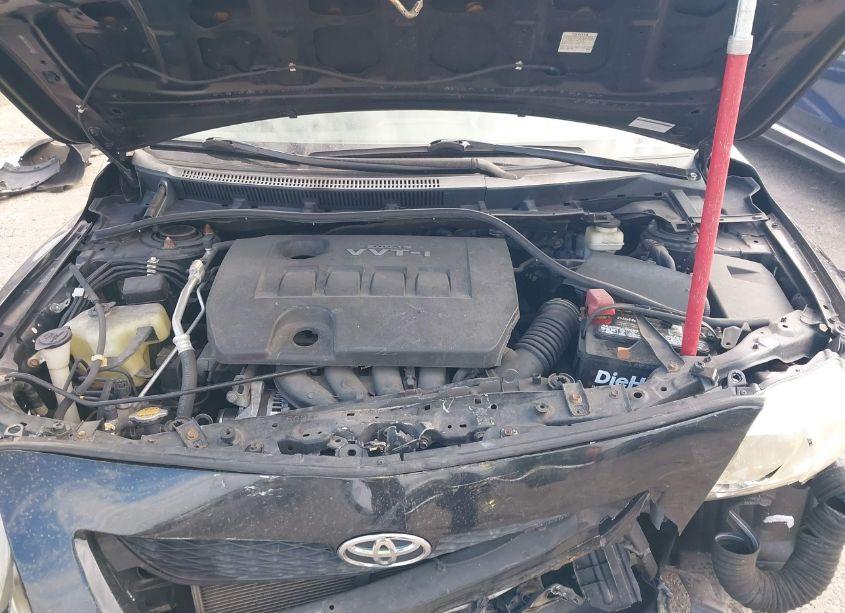 Photo 10 of 2010 Toyota Corolla LE (VIN 2T1BU4EEXAC516799)