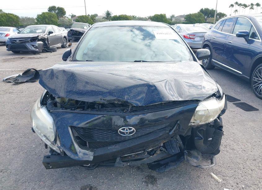 Photo 12 of 2010 Toyota Corolla LE (VIN 2T1BU4EEXAC516799)