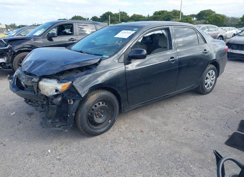 Photo 2 of 2010 Toyota Corolla LE (VIN 2T1BU4EEXAC516799)