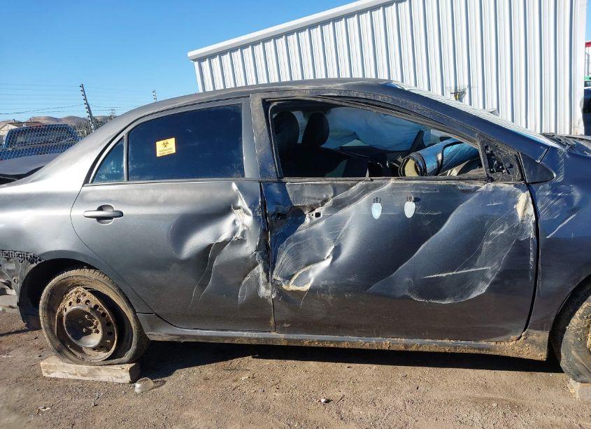 Photo 12 of 2010 Toyota Corolla LE (VIN 2T1BU4EEXAC518973)