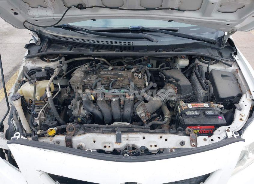 Photo 10 of 2010 Toyota Corolla S (VIN 2T1BU4EEXAC521114)