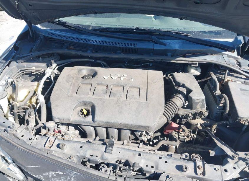 Photo 10 of 2010 Toyota Corolla LE (VIN 2T1BU4EEXAC529116)