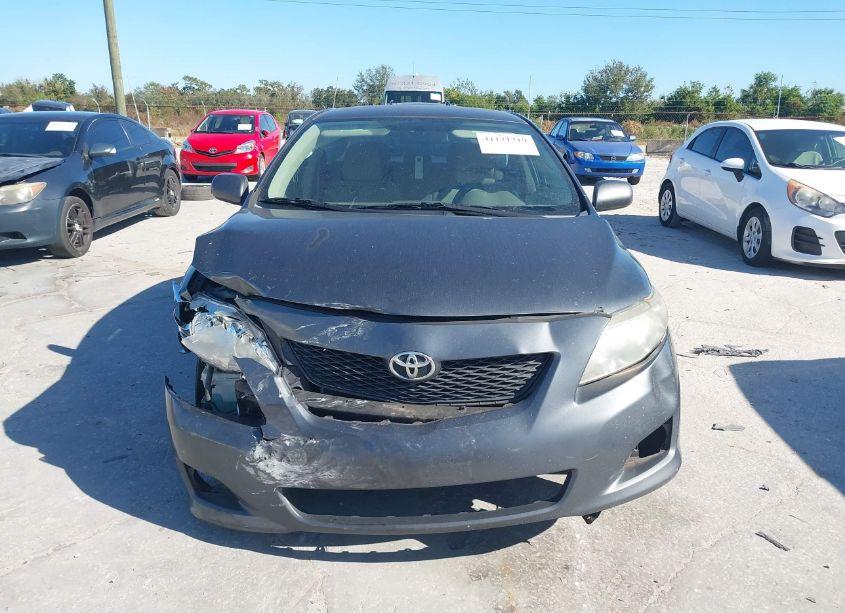 Photo 12 of 2010 Toyota Corolla LE (VIN 2T1BU4EEXAC529116)