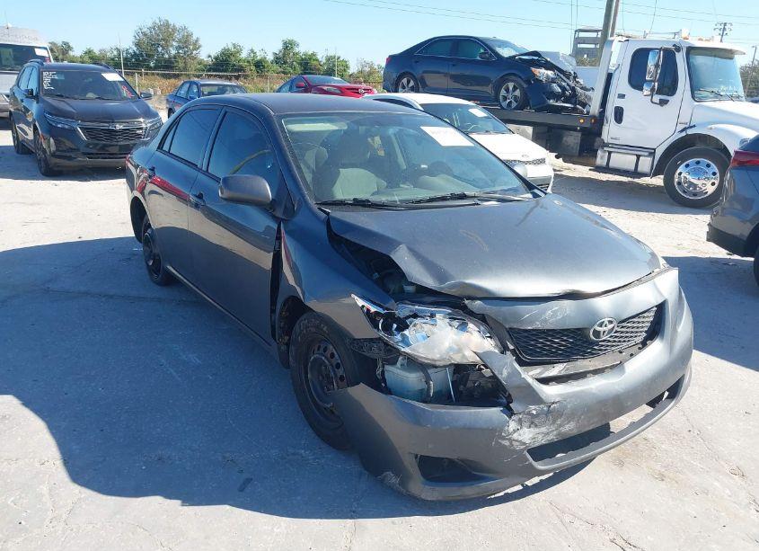 Photo 6 of 2010 Toyota Corolla LE (VIN 2T1BU4EEXAC529116)