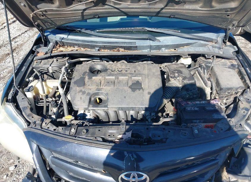 Photo 10 of 2011 Toyota Corolla LE (VIN 2T1BU4EEXBC598633)