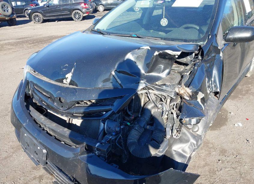 Photo 6 of 2011 Toyota Corolla S (VIN 2T1BU4EEXBC615348)