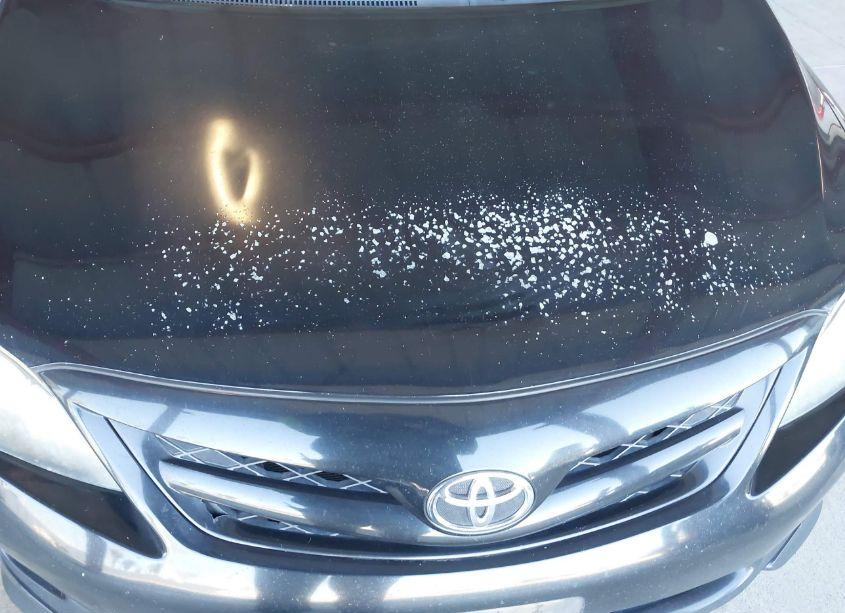 Photo 6 of 2011 Toyota Corolla S (VIN 2T1BU4EEXBC636555)