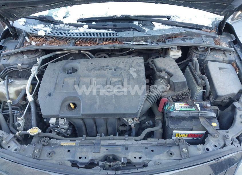 Photo 10 of 2011 Toyota Corolla S (VIN 2T1BU4EEXBC701890)