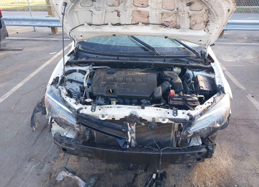 Photo 10 of 2019 Toyota Corolla LE (VIN 2T1BURHE0KC176296)