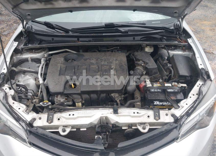 Photo 10 of 2019 Toyota Corolla LE (VIN 2T1BURHE0KC181014)