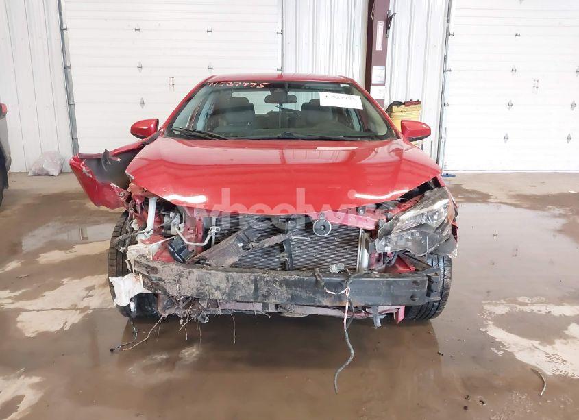 Photo 12 of 2019 Toyota Corolla LE (VIN 2T1BURHE2KC181404)