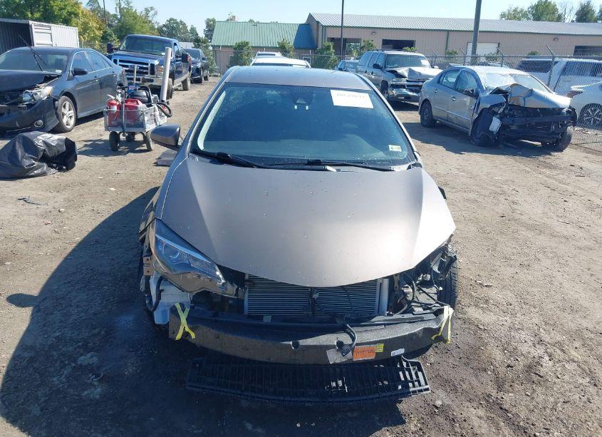 Photo 13 of 2019 Toyota Corolla LE (VIN 2T1BURHE2KC241858)